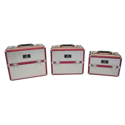 large2 20140120011805 mitsuto beauty case silver gliter